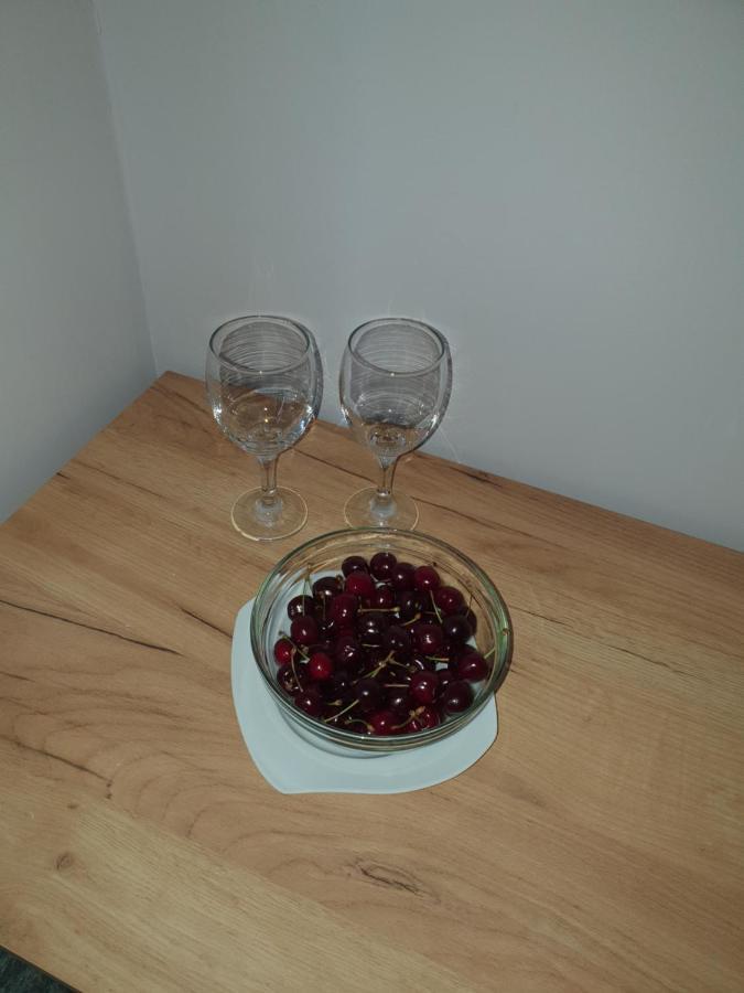 Sunny Apartment Blagoevgrad Buitenkant foto